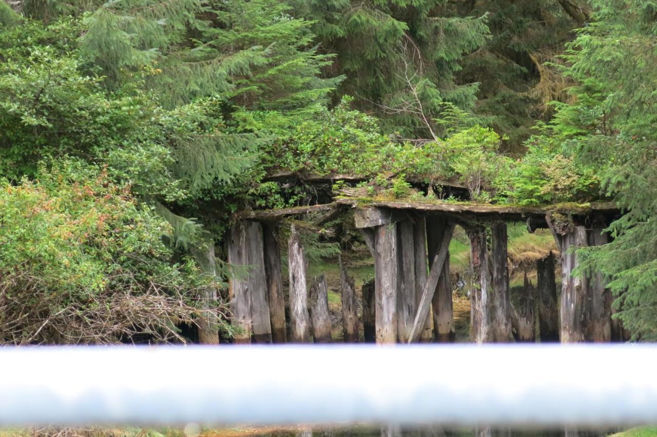 Villa A Shack In The Woods Port Renfrew Exterior foto