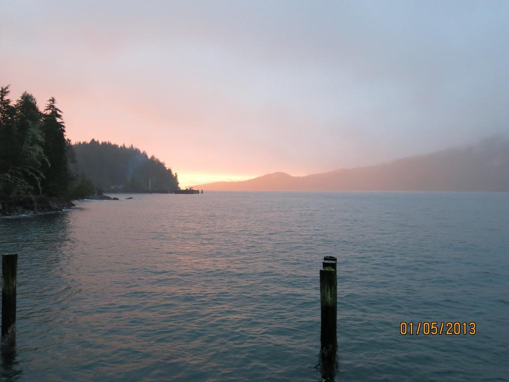 Villa A Shack In The Woods Port Renfrew Zimmer foto