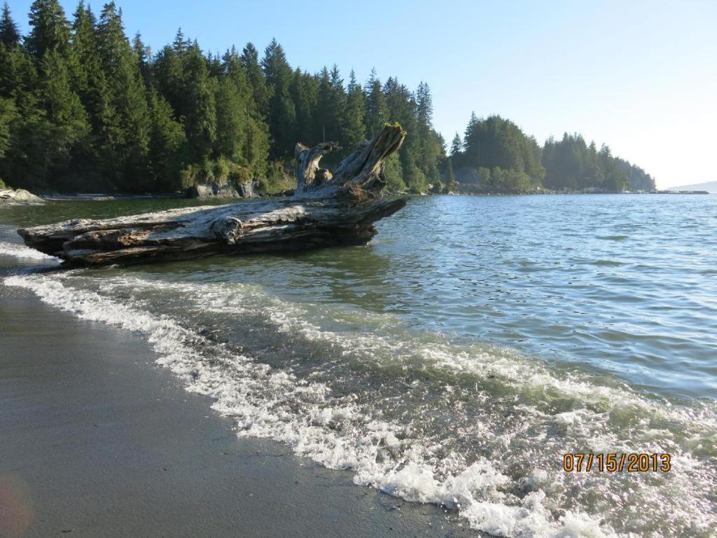 Villa A Shack In The Woods Port Renfrew Exterior foto