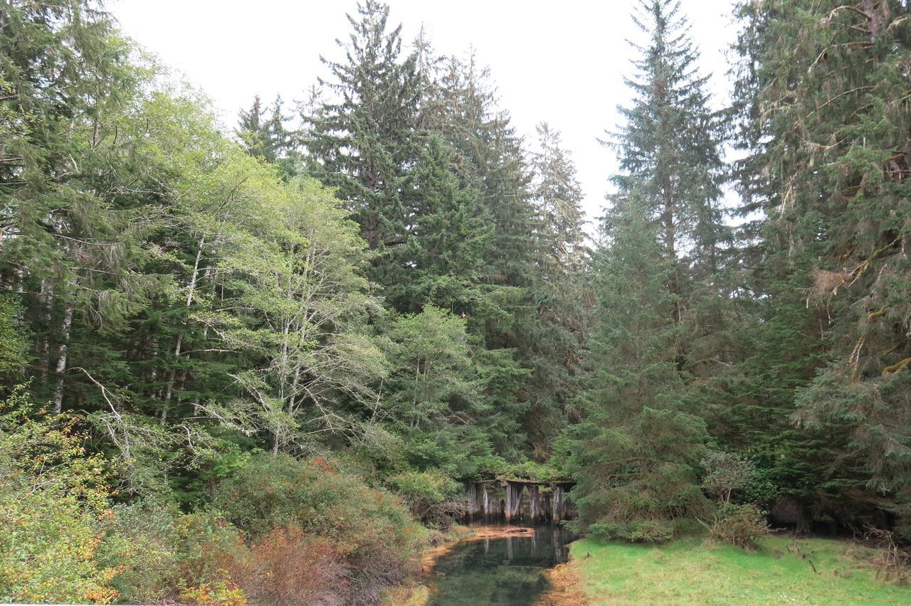 Villa A Shack In The Woods Port Renfrew Exterior foto