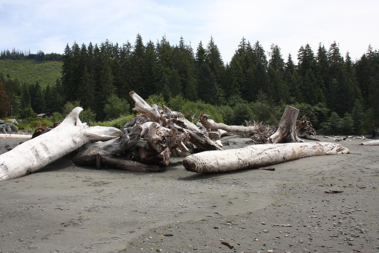 Villa A Shack In The Woods Port Renfrew Exterior foto